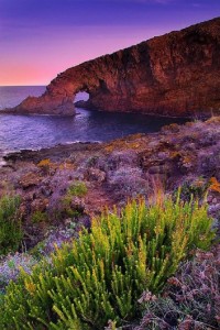 Traghetti Pantelleria