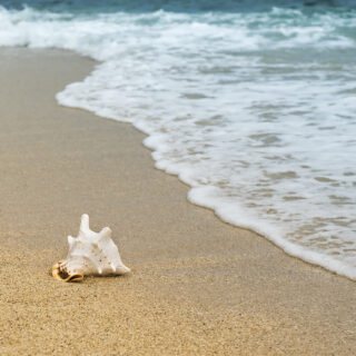 Spiagge Più BELLE delle Isole Egadi