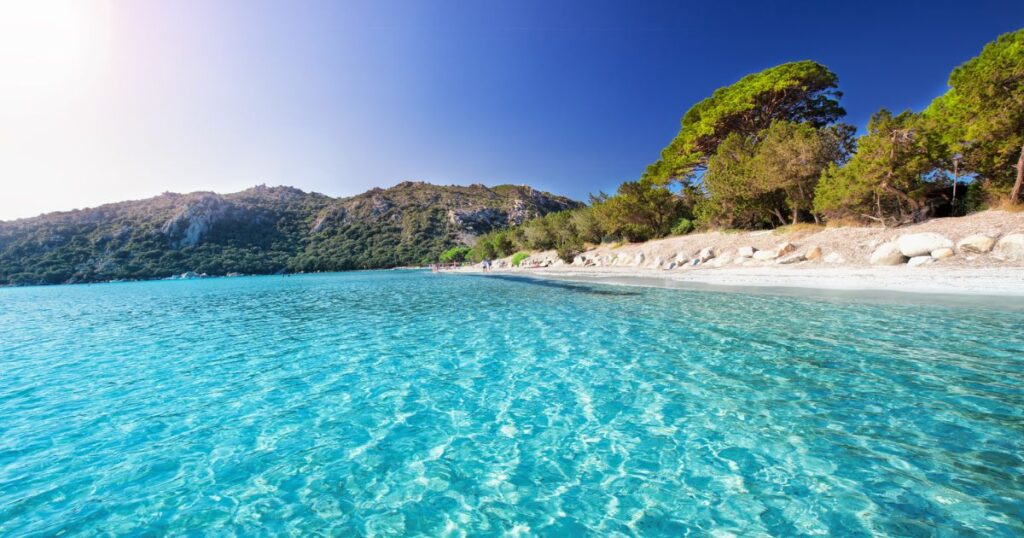 Spiaggia sabbiosa di Santa Giulia con alberi di pino e acqua cristallina azzurra, Corsica, Francia, Europa