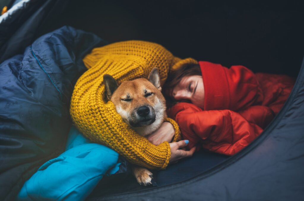 Cane in vacanza con la padroncina